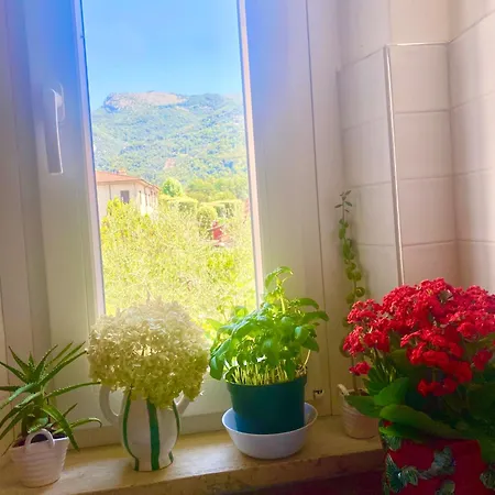 Casa La Wanda - Toscana - 2 Bedroom & Terrace * Camaiore